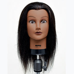 Celebrity Whitney Cosmetology Ethnic Human Hair Manikin 17-19 inch